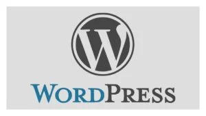 wordpress-300x169